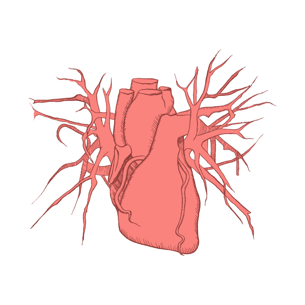 Pink Anatomic Heart by cre8tive-liv