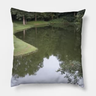 Reflections on Still Water Collection 2 Pillow