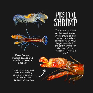 Animal Facts - Pistol Shrimp T-Shirt