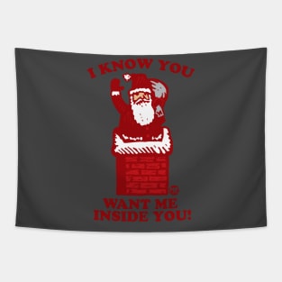 SANTA CHIMNEY Tapestry