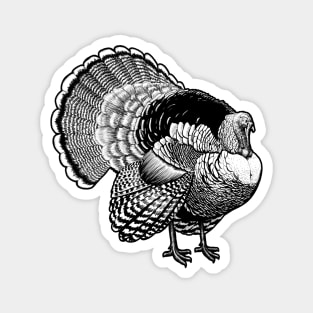 Turkey Magnet