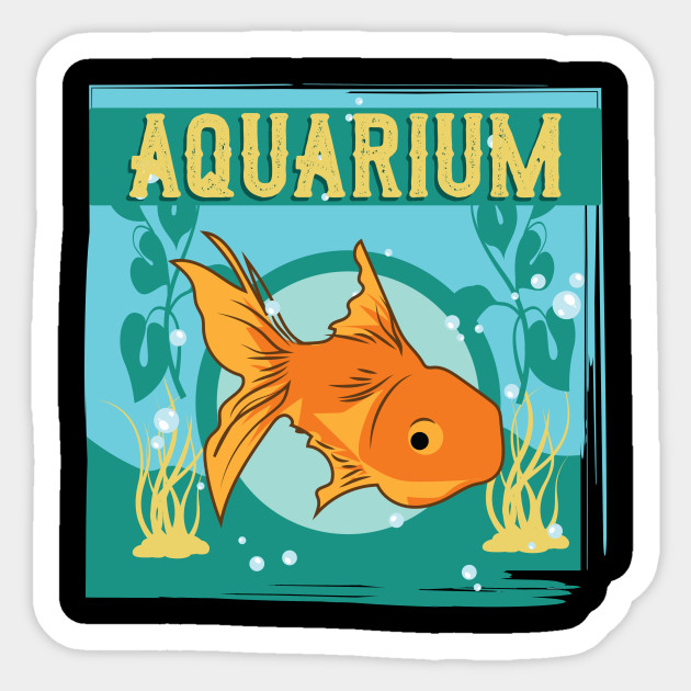 610 Aquarium Design For Goldfish HD Terbaru