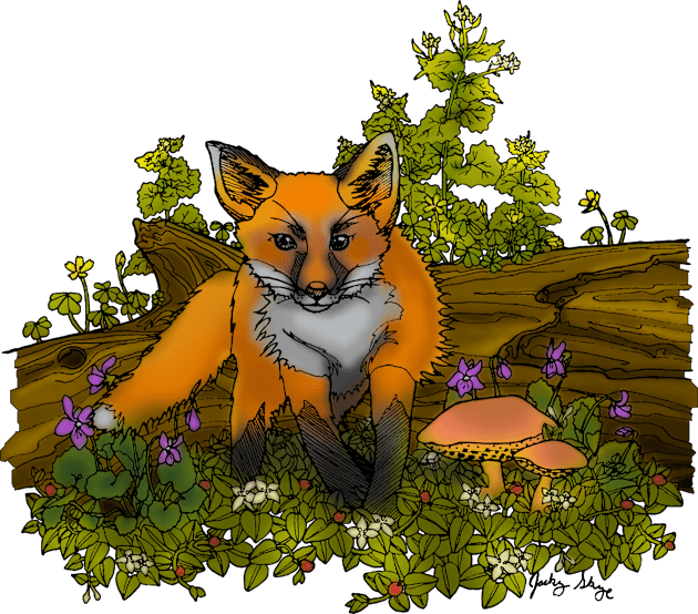 Fox Kit Kids T-Shirt by ThisIsNotAnImageOfLoss