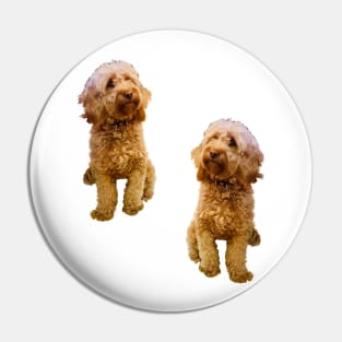 Cavapoo Cavoodle puppy pattern in cream- cute cavalier king charles spaniel Pin