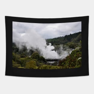 Nouvelle Zélande - Rotorua, Te Puia Tapestry