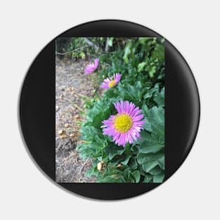 Purple flowers Pin