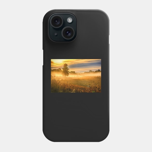 Morning Mist Over Country Road Phone Case by Robert Alsop