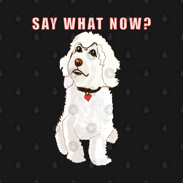 Say what now ? Cavapoo Cavoodle  Cavapoochon white attitude - cute cavalier King Charles spaniel Bichon frise by Artonmytee