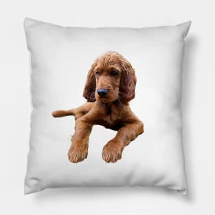 Irish Setter Puppy Dog Pillow