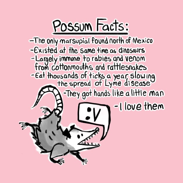 Possum facts by Elliot HT Art