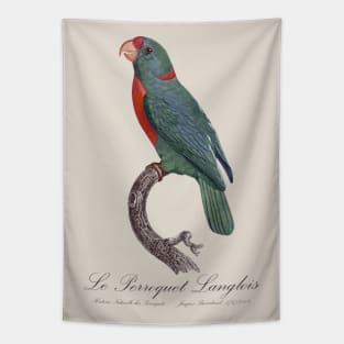 Le Perroquet Langlois Parrot - 19th century Jacques Barraband Illustration Tapestry