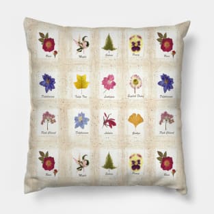 Botanical Pressed Flower Collection Pillow