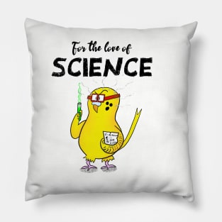 For the Love of Science! Pillow