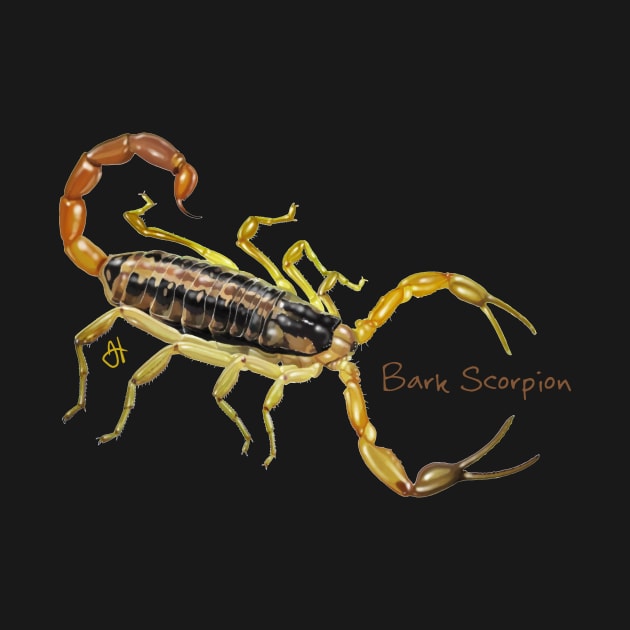 Scorpion Encounter! Bigger Than Large! by John Himmelman