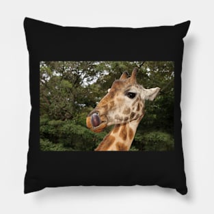 Rothschild's Giraffe Portrait, Kenya Pillow