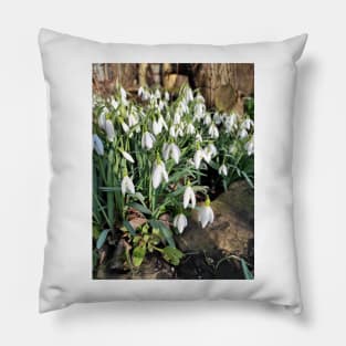 snowdrop Pillow