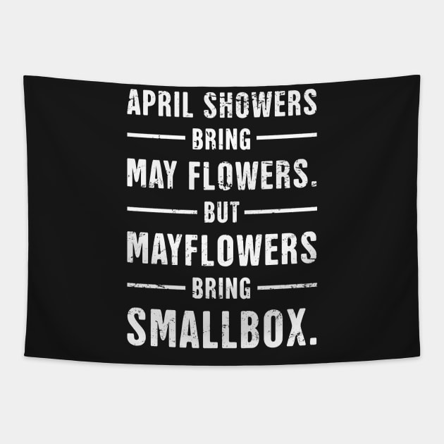 Mayflower | Funny American History Teacher Tapestry by MeatMan