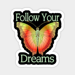 Follow Dreams Butterfly Magnet