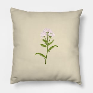 Yarraw Plant Botanical Pillow