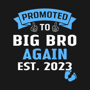 A Big Brother Again 2023 T-Shirt
