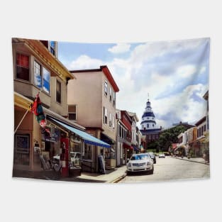 Annapolis MD - Shops on Maryland Avenue and Maryland State House Tapestry