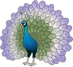 Genderqueer Pride Peacock Magnet