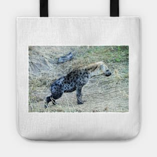 Juvenile Hyena Cub Tote