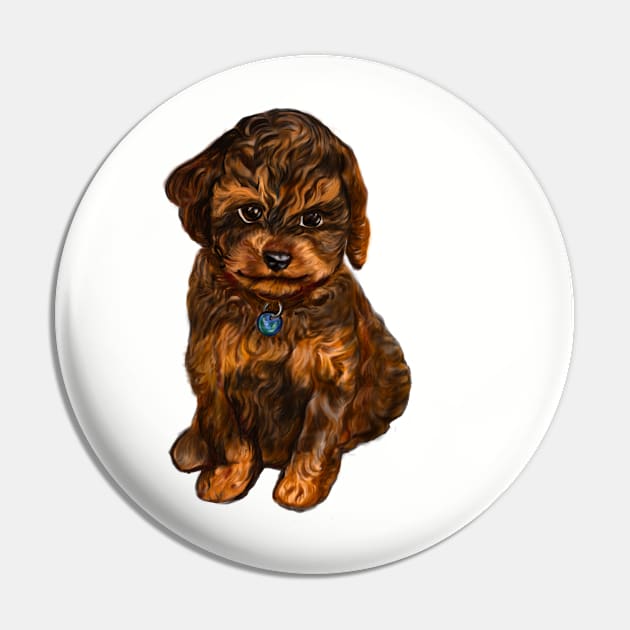 Cavapoochon Cavapoo Cavoodle  black and tan- cute cavalier King Charles spaniel Bichon frise Pin by Artonmytee