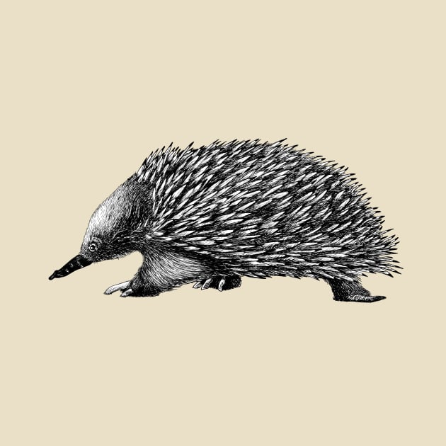 Echidna by AirDrawn