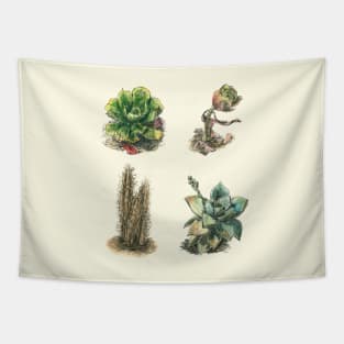 Succulents Cactus Home Garden Collection Tapestry