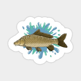 carp fish Magnet