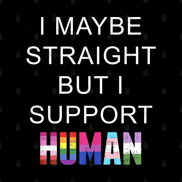 I May Be Straight But I Support Human LGBT Gay Pride by Synithia Vanetta Williams