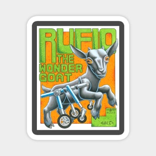 Rufio the Wonder Goat Magnet