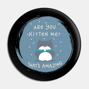 Are you Kitten me ? Pin