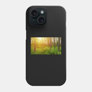 Green forest panorama and shining sun Phone Case