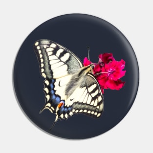 Gift idea butterfly swallowtail Pin