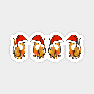 Santa Cats in Christmas Santa Hats Magnet