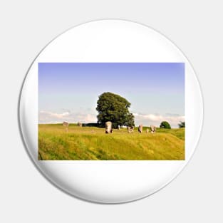 Avebury Stone Circle Wiltshire England Pin