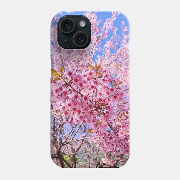 Beautiful pink flowers Phone Case by PPphatsorn