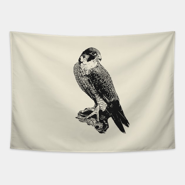 Falcon Tapestry by Guardi