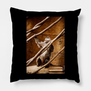 Captivity Pillow