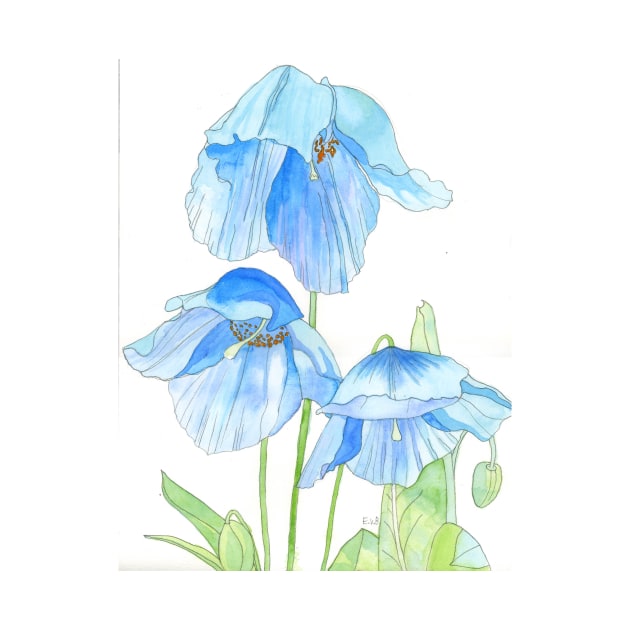 Blue Poppies watercolour painting by esvb