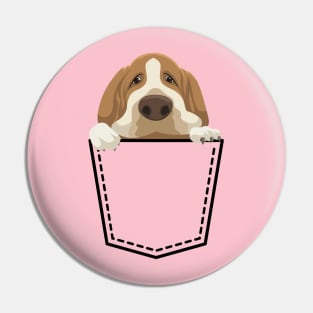 Basset Hound on pocket Pin