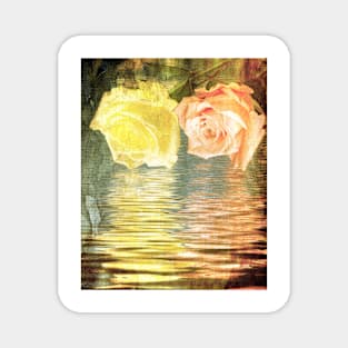 A painting of two Roses and their reflection in water with copy space. Magnet