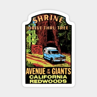 California Redwoods Magnet