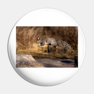 Flying Grey Squirrel Pin