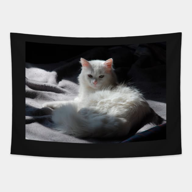 White Cat on Grey Blanket Tapestry by jojobob