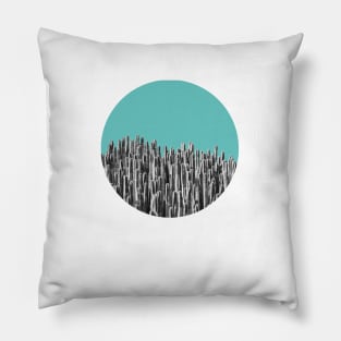 Cacti 01 Pillow