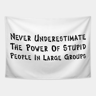 Never Underestimate The Power Of Stupid People Tapestry