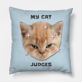 Funny Grumpy Cat Pillow